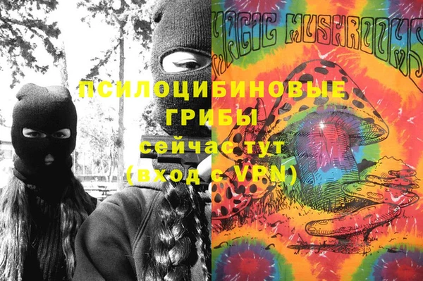 шишки Армянск