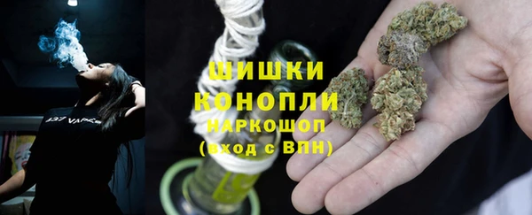 шишки Армянск